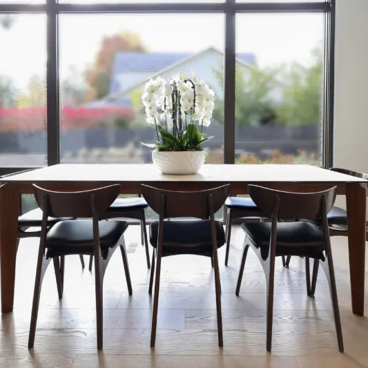 Modern Living
